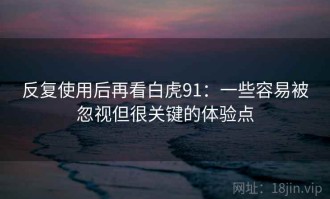 反复使用后再看白虎91：一些容易被忽视但很关键的体验点