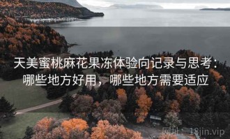 天美蜜桃麻花果冻体验向记录与思考：哪些地方好用，哪些地方需要适应