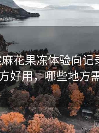 天美蜜桃麻花果冻体验向记录与思考：哪些地方好用，哪些地方需要适应