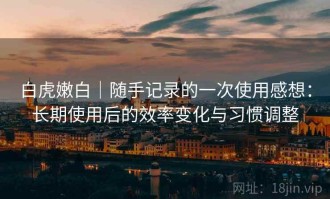 白虎嫩白｜随手记录的一次使用感想：长期使用后的效率变化与习惯调整