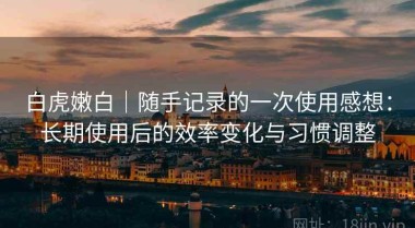 白虎嫩白｜随手记录的一次使用感想：长期使用后的效率变化与习惯调整