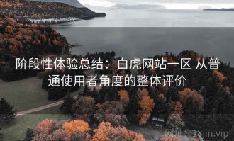 阶段性体验总结：白虎网站一区 从普通使用者角度的整体评价