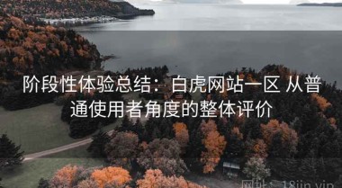 阶段性体验总结：白虎网站一区 从普通使用者角度的整体评价