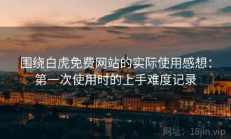 围绕白虎免费网站的实际使用感想：第一次使用时的上手难度记录