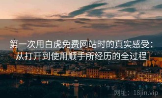 第一次用白虎免费网站时的真实感受：从打开到使用顺手所经历的全过程