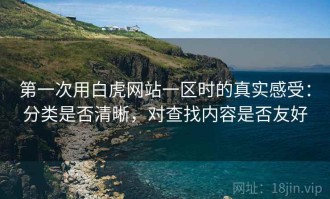 第一次用白虎网站一区时的真实感受：分类是否清晰，对查找内容是否友好