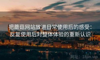 把蘑菇网站放进日常使用后的感受：反复使用后对整体体验的重新认识