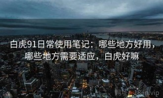 白虎91日常使用笔记：哪些地方好用，哪些地方需要适应，白虎好嘛