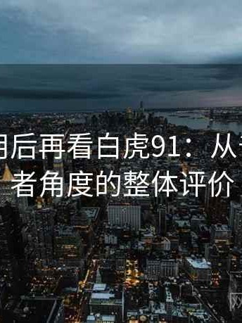反复使用后再看白虎91：从普通使用者角度的整体评价