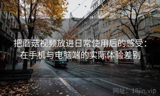 把蘑菇视频放进日常使用后的感受：在手机与电脑端的实际体验差别