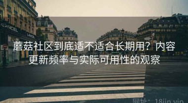 蘑菇社区到底适不适合长期用？内容更新频率与实际可用性的观察