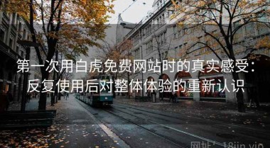 第一次用白虎免费网站时的真实感受：反复使用后对整体体验的重新认识