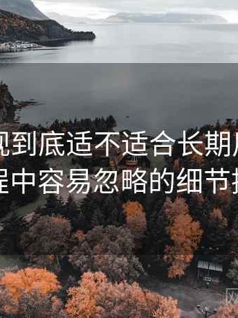 红桃影视到底适不适合长期用？使用过程中容易忽略的细节提醒