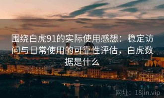 围绕白虎91的实际使用感想：稳定访问与日常使用的可靠性评估，白虎数据是什么