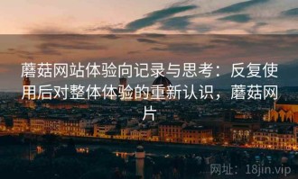 蘑菇网站体验向记录与思考：反复使用后对整体体验的重新认识，蘑菇网片