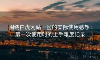 围绕白虎网站一区的实际使用感想：第一次使用时的上手难度记录