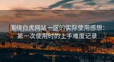 围绕白虎网站一区的实际使用感想：第一次使用时的上手难度记录