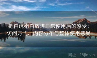 把白虎嫩白放进日常使用后的感受：访问方式、内容分布与整体使用感受