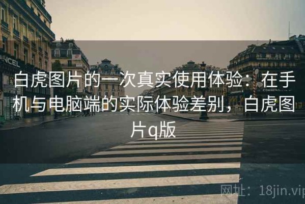 白虎图片的一次真实使用体验：在手机与电脑端的实际体验差别，白虎图片q版