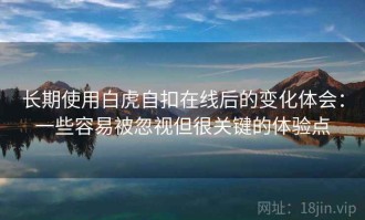 长期使用白虎自扣在线后的变化体会：一些容易被忽视但很关键的体验点