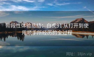 阶段性体验总结：白虎91 从打开到使用顺手所经历的全过程