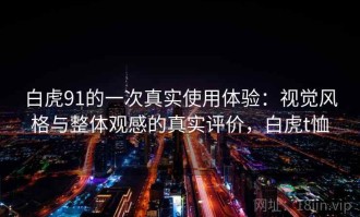 白虎91的一次真实使用体验：视觉风格与整体观感的真实评价，白虎t恤