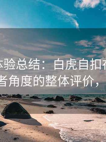 阶段性体验总结：白虎自扣在线 从普通使用者角度的整体评价，白虎t恤