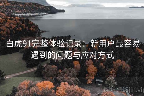 白虎91完整体验记录：新用户最容易遇到的问题与应对方式