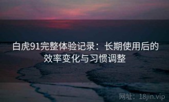 白虎91完整体验记录：长期使用后的效率变化与习惯调整
