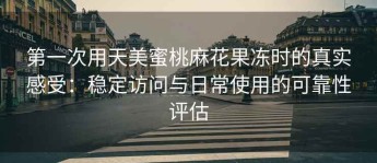 第一次用天美蜜桃麻花果冻时的真实感受：稳定访问与日常使用的可靠性评估