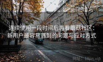 连续使用一段时间后再看蘑菇社区：新用户最容易遇到的问题与应对方式