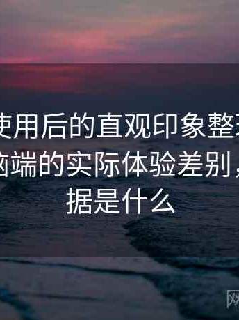 白虎91使用后的直观印象整理：在手机与电脑端的实际体验差别，白虎数据是什么