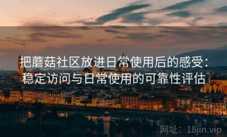 把蘑菇社区放进日常使用后的感受：稳定访问与日常使用的可靠性评估