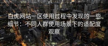 白虎网站一区使用过程中发现的一些细节：不同人群使用场景下的适配度观察