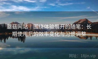 蘑菇网站｜围绕体验展开的随笔：长期使用后的效率变化与习惯调整