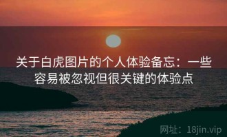 关于白虎图片的个人体验备忘：一些容易被忽视但很关键的体验点