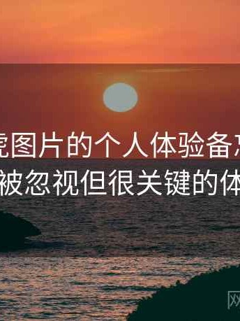 关于白虎图片的个人体验备忘：一些容易被忽视但很关键的体验点