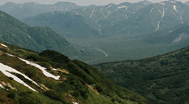 把天美密桃果冻mv放进日常使用后的感受：多次回访后的体验变化记录