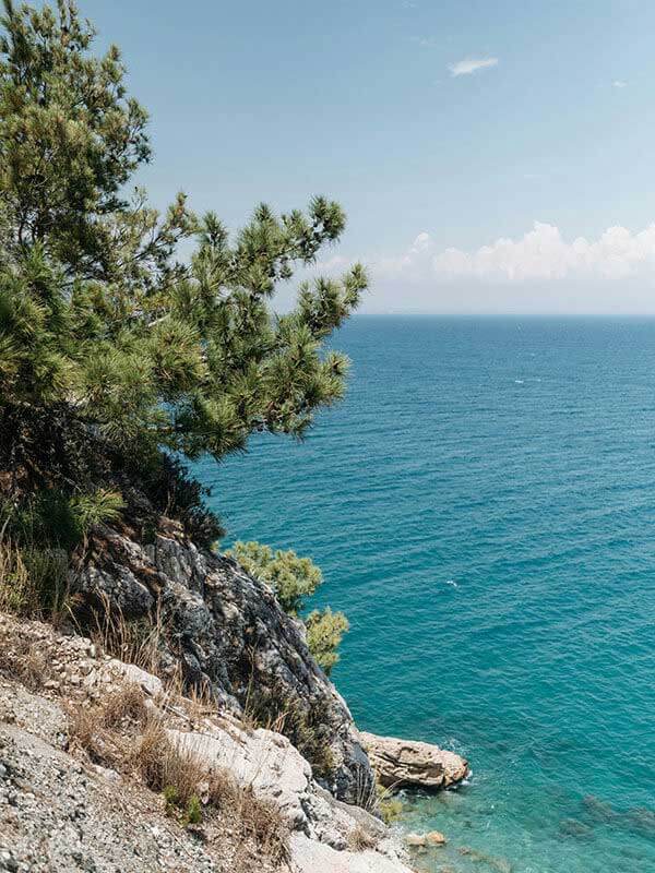 围绕白虎91的实际使用感想：稳定访问与日常使用的可靠性评估，白虎数据是什么