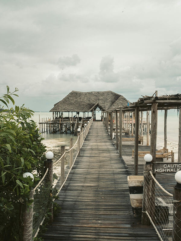 白虎91的一次真实使用体验：分类是否清晰，对查找内容是否友好