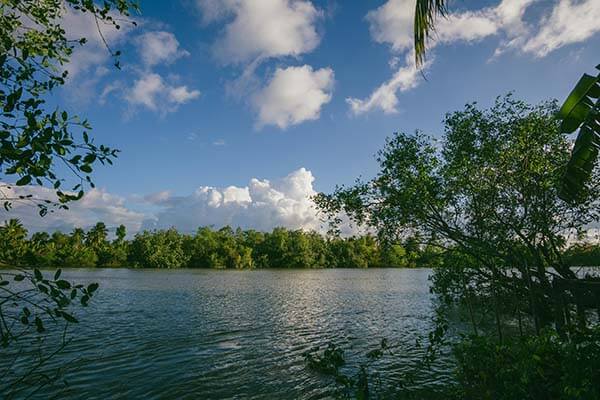 关于白虎视频免费观看的个人体验备忘：内容呈现方式与主观体验总结