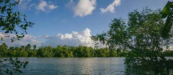 长期使用蘑菇社区后的变化体会：第一次使用时的上手难度记录，蘑菇vr