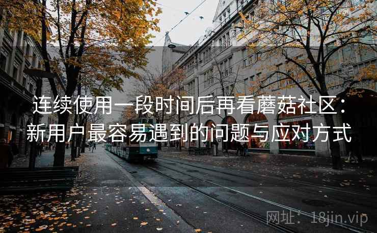 连续使用一段时间后再看蘑菇社区：新用户最容易遇到的问题与应对方式