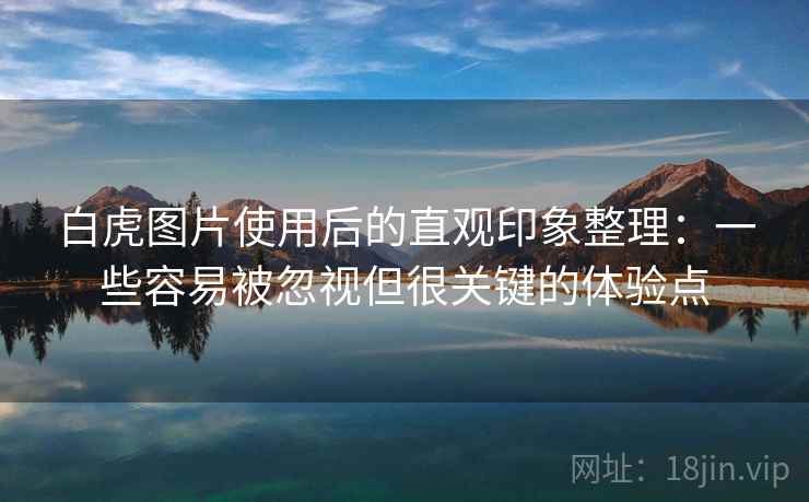 白虎图片使用后的直观印象整理：一些容易被忽视但很关键的体验点