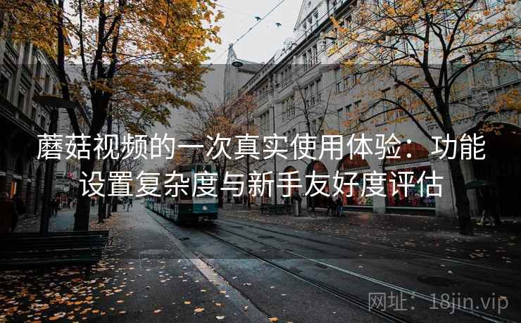 蘑菇视频的一次真实使用体验:功能设置复杂度与新手友好度评估 蘑菇视频的一次真实使用体验:功能设置复杂度与新手友好度评估