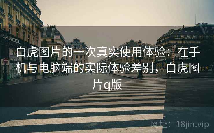 白虎图片的一次真实使用体验：在手机与电脑端的实际体验差别，白虎图片q版