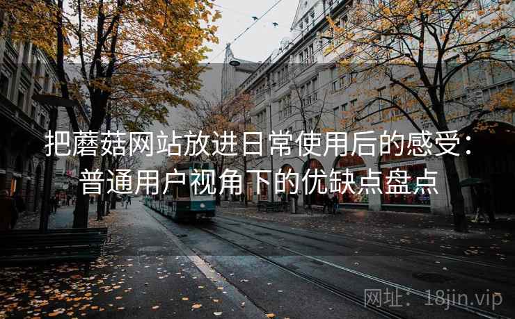 把蘑菇网站放进日常使用后的感受:普通用户视角下的优缺点盘点 把蘑菇网站放进日常使用后的感受:普通用户视角下的优缺点盘点