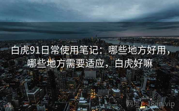 白虎91日常使用笔记：哪些地方好用，哪些地方需要适应，白虎好嘛