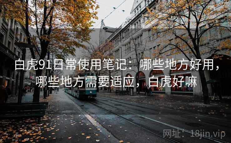 白虎91日常使用笔记：哪些地方好用，哪些地方需要适应，白虎好嘛