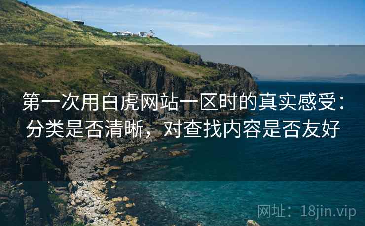 第一次用白虎网站一区时的真实感受：分类是否清晰，对查找内容是否友好